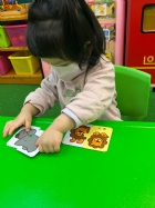 11201拼拼看~動物的拼圖