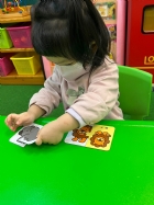 11201拼拼看~動物的拼圖