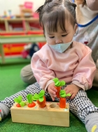 11202嘿喲嘿喲拔蘿蔔