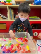 11203漂亮的小金魚在水裡游來游去，寶寶來撈魚囉！