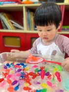 11203漂亮的小金魚在水裡游來游去，寶寶來撈魚囉！