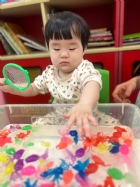 11203漂亮的小金魚在水裡游來游去，寶寶來撈魚囉！