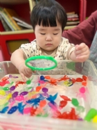 11203漂亮的小金魚在水裡游來游去，寶寶來撈魚囉！