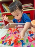 11203漂亮的小金魚在水裡游來游去，寶寶來撈魚囉！