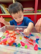 11203漂亮的小金魚在水裡游來游去，寶寶來撈魚囉！