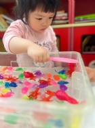 11203漂亮的小金魚在水裡游來游去，寶寶來撈魚囉！