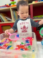 11203漂亮的小金魚在水裡游來游去，寶寶來撈魚囉！