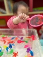 11203漂亮的小金魚在水裡游來游去，寶寶來撈魚囉！