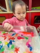 11203漂亮的小金魚在水裡游來游去，寶寶來撈魚囉！