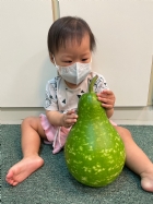 11205好大好大的瓠瓜哦!!