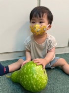 11205好大好大的瓠瓜哦!!