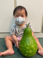 11205好大好大的瓠瓜哦!!