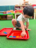 11205寶寶試著找找看,相同形狀擺一起