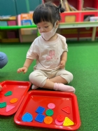 11205寶寶試著找找看,相同形狀擺一起