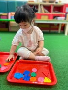 11205寶寶試著找找看,相同形狀擺一起