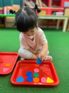 11205寶寶試著找找看,相同形狀擺一起