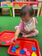 11205寶寶試著找找看,相同形狀擺一起