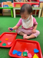 11205寶寶試著找找看,相同形狀擺一起