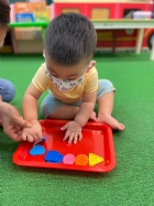 11205寶寶試著找找看,相同形狀擺一起