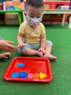 11205寶寶試著找找看,相同形狀擺一起