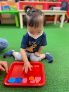 11205寶寶試著找找看,相同形狀擺一起