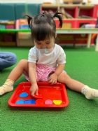 11205寶寶試著找找看,相同形狀擺一起