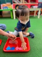 11205寶寶試著找找看,相同形狀擺一起