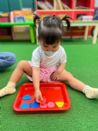 11205寶寶試著找找看,相同形狀擺一起