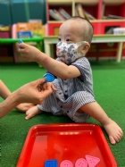 11205寶寶試著找找看,相同形狀擺一起