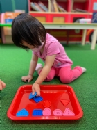 11205寶寶試著找找看,相同形狀擺一起