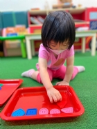 11205寶寶試著找找看,相同形狀擺一起