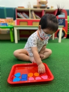 11205寶寶試著找找看,相同形狀擺一起