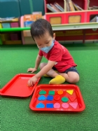 11205寶寶試著找找看,相同形狀擺一起