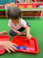 11205寶寶試著找找看,相同形狀擺一起