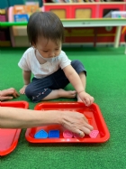 11205寶寶試著找找看,相同形狀擺一起