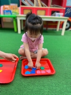 11205寶寶試著找找看,相同形狀擺一起