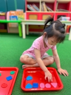 11205寶寶試著找找看,相同形狀擺一起