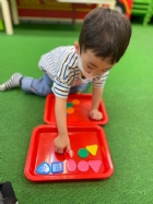 11205寶寶試著找找看,相同形狀擺一起