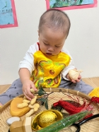 11205丫順的抓周