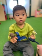 11301手偶的自我介紹