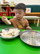 觸覺大冒險~寶寶搓蘿蔔