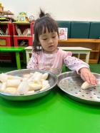 觸覺大冒險~寶寶搓蘿蔔